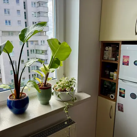 Cozy Flat * ワルシャワ
